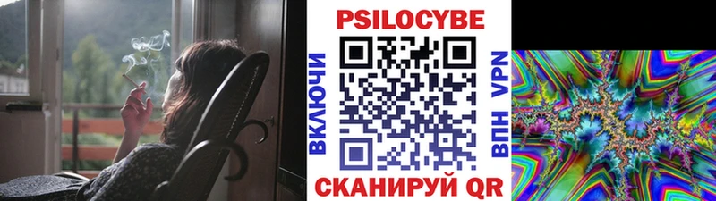 Псилоцибиновые грибы Cubensis Копейск