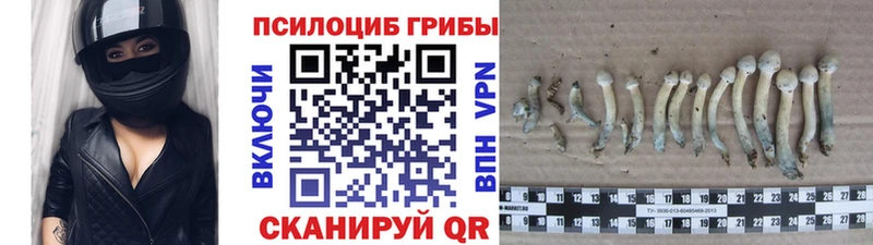 купить   Копейск  Галлюциногенные грибы мухоморы 
