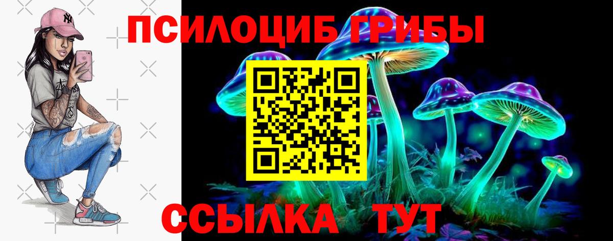 Псилоцибиновые грибы мицелий Копейск